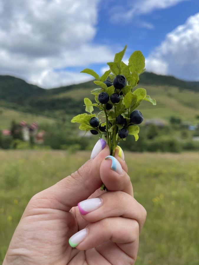 Apartmán Шервуд Myta Exteriér fotografie